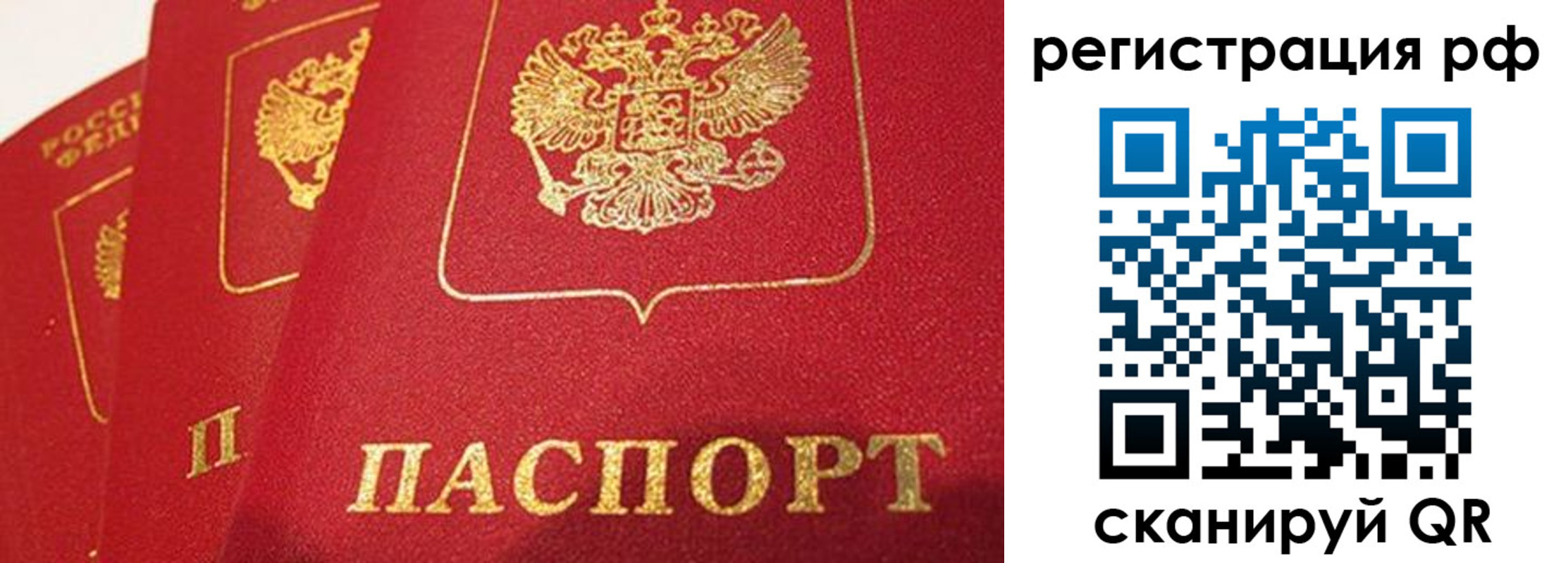 прописка поиск в Гвардейске